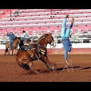 Meet your Posher, Dustin